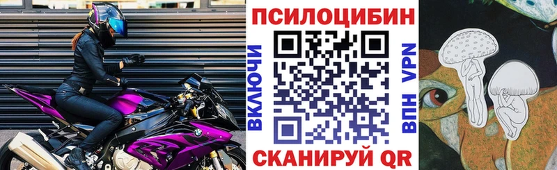 кракен ССЫЛКА  Томск  Псилоцибиновые грибы Cubensis 