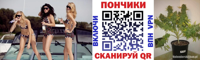 хочу   KRAKEN ONION  Каннабис THC 21%  Томск 